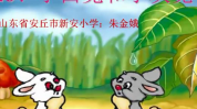 小白兔小黑兔小灰兔怀孕,迷路奇遇与神秘兔宝宝的诞生